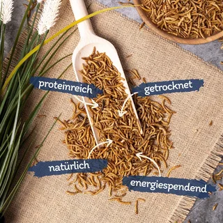 3 x 10 liter Lyra Pet® gedroogde meelwormen in een zakje by Lyra Pet – product photo 2 of 5
