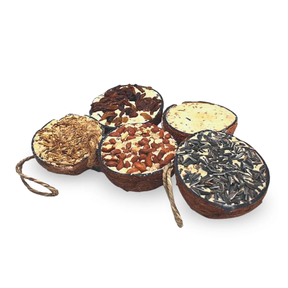 3 x 10 st. Lyra Pet® Halve kokosnoot gevuld met topping de Lyra Pet – photo produit