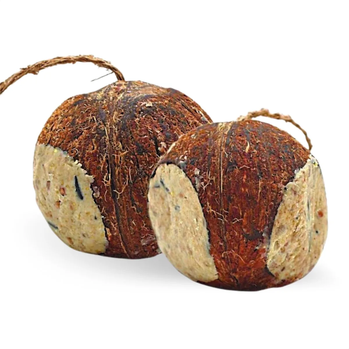 3 x 4 stuks Lyra Pet® gevulde kokosnoten met gaatjes de Lyra Pet – photo produit