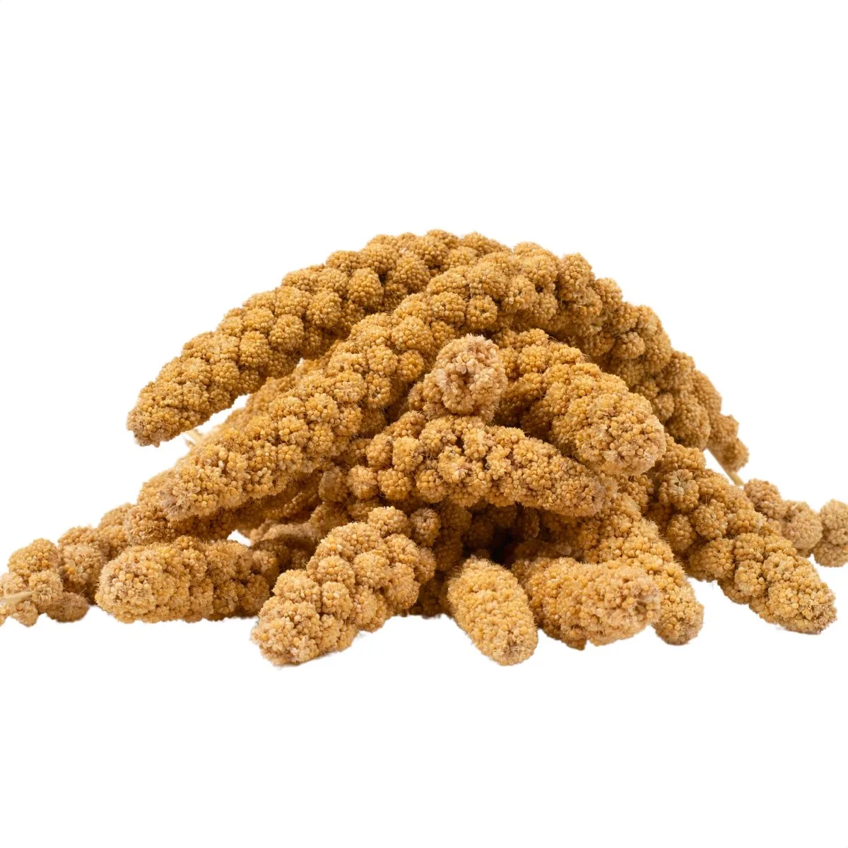 4 kg Lyra Pet® Vossenstaartgierst geel van Lyra Pet – productfoto