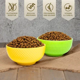 5 kg Lecker.Pet® Leo's Adult Gevogelte & Forel droog kattenvoer compleet voer by Lyra Pet – product photo 4 of 5