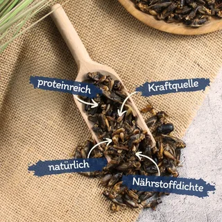 5 kg Lyra Pet® krekels gedroogd fra Lyra Pet – produktbillede 2 af 5