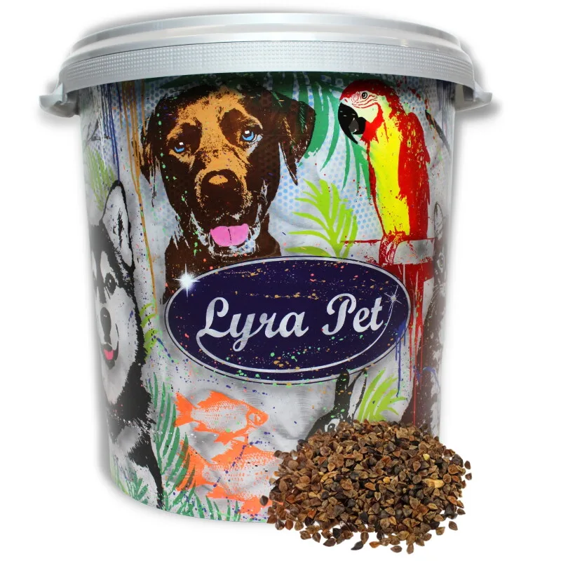 Buchweizen von Lyra Pet in Regular – Produktfoto