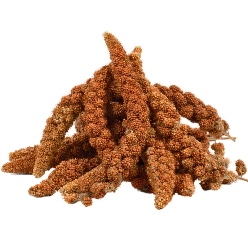 Kolbenhirse rot 2 kg von Lyra Pet in Regular – Produktfoto