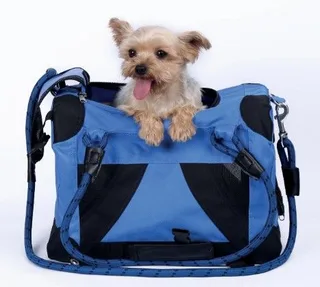 Remix Transporttas voor in vliegtuig, Blauw by M-Pets – product photo 1 of 4
