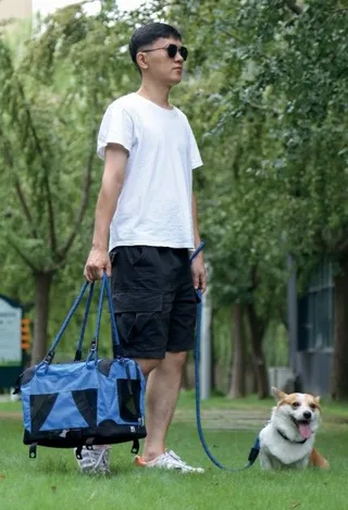 Remix Transporttas voor in vliegtuig, Blauw by M-Pets – product photo 3 of 4