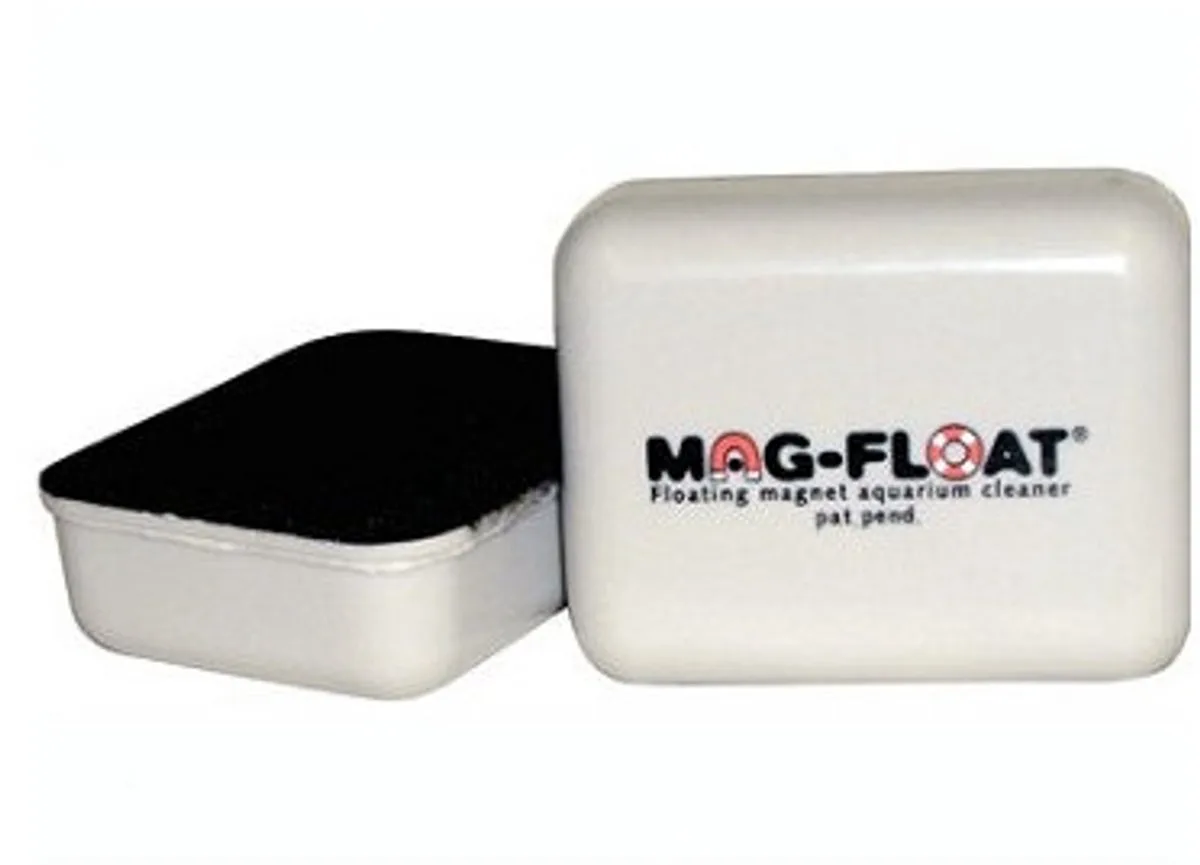 drijvende algenmagneet - Large - 80 x 65 x 55 mm von Mag-Float in Color – Produktfoto