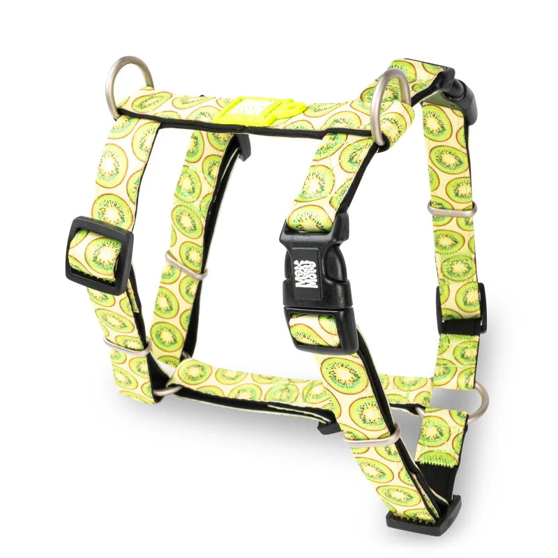 H-Geschirr - Kiwi S van Max & Molly in Regular – productfoto