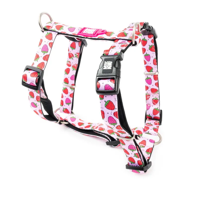 H-Geschirr - Strawberry Dream XS van Max & Molly in Regular – productfoto