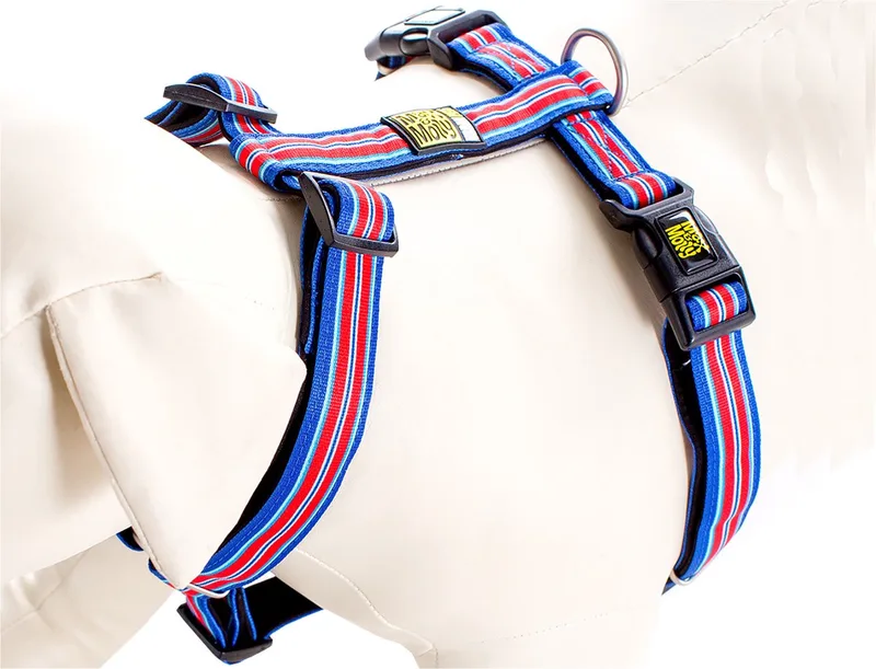 Hampton Strip Harnas / Hondentuigje - Polyester - Blauw - XS - Halsomvang: 24 - 39 cm -Borstomtrek: 32 - 40 cm (GELIEVE ALVORENS BESTELLEN OPMETEN) fra Max & Molly i Blå, Rød – produktbillede