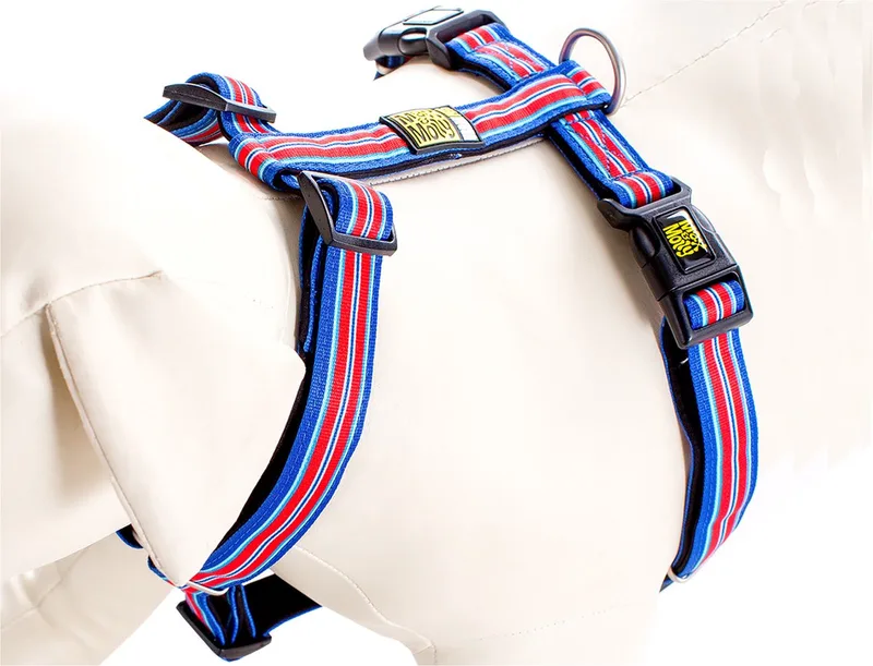 Hampton Strip Harnas / Hondentuigje - Polyester - S - Halsomvang: 30 - 46 cm -Borstomtrek: 44 - 52 cm (GELIEVE ALVORENS BESTELLEN OPMETEN) de Max & Molly en Bleu – photo produit
