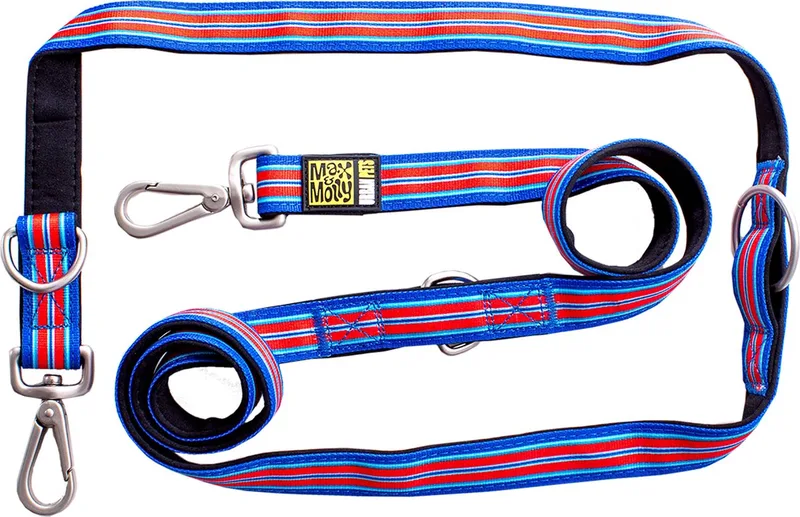 Hampton Strip Verstelbare Hondenlijn / Hondenriem - Polyester - Blauw - M - Breedte: 2 cm - Lengte: 200 cm by Max & Molly in Blue, Red – product photo