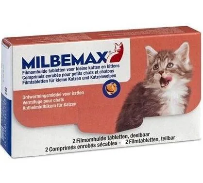 Kitten en Kleine katten