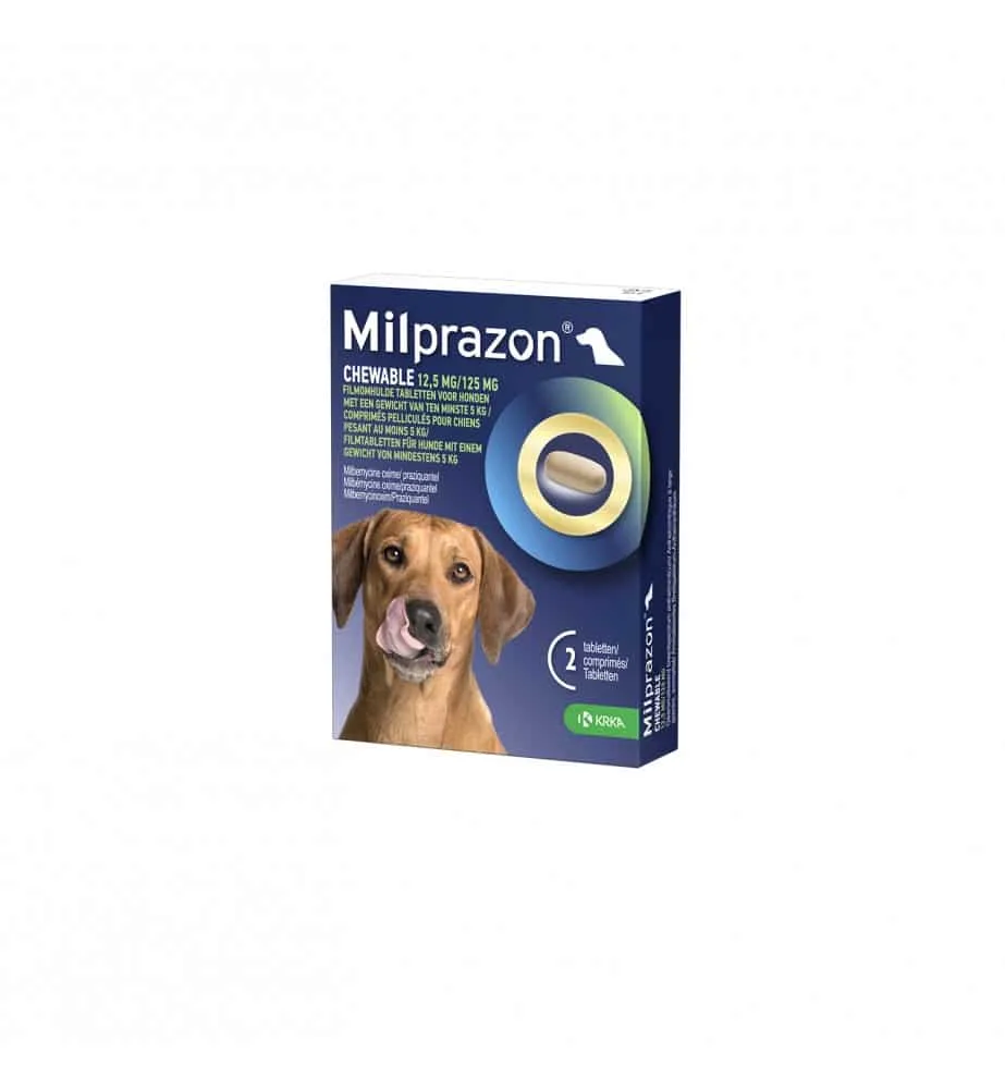 Grote Hond 2 tabletten van Milprazon – productfoto