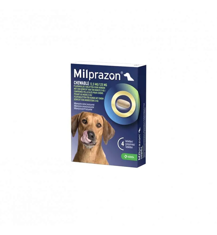 Grote Hond 4 tabletten van Milprazon – productfoto
