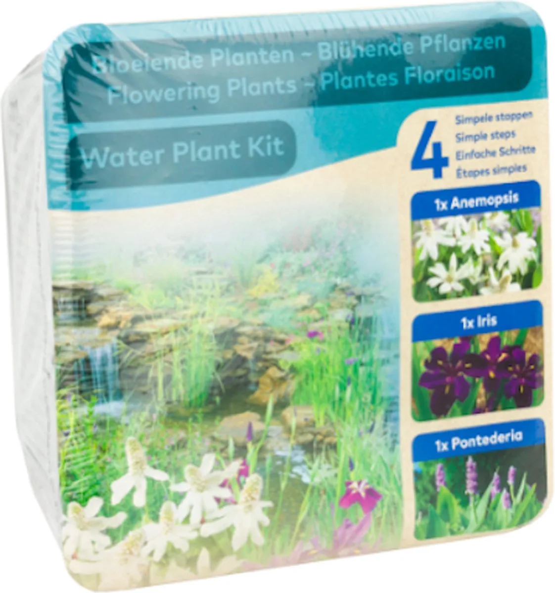 Droogverpakking Vijverplant Bloeiend från Moerings i Grön – produktbild