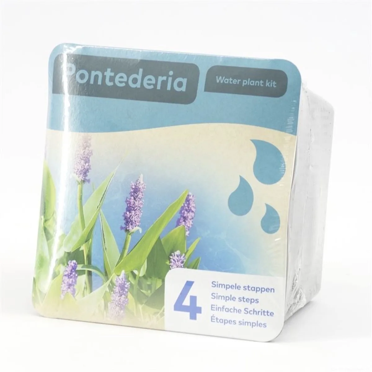 Droogverpakking Vijverplant Pontederia från Moerings i Blå – produktbild