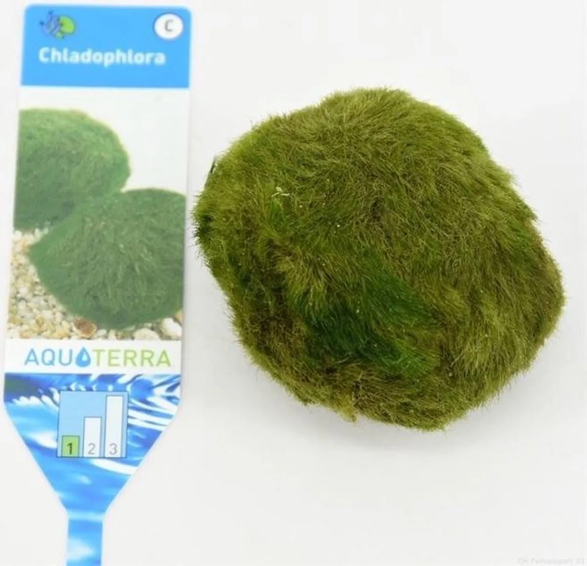 Mosballen XL 5 CM per 3 stuks från Moerings i Grön – produktbild