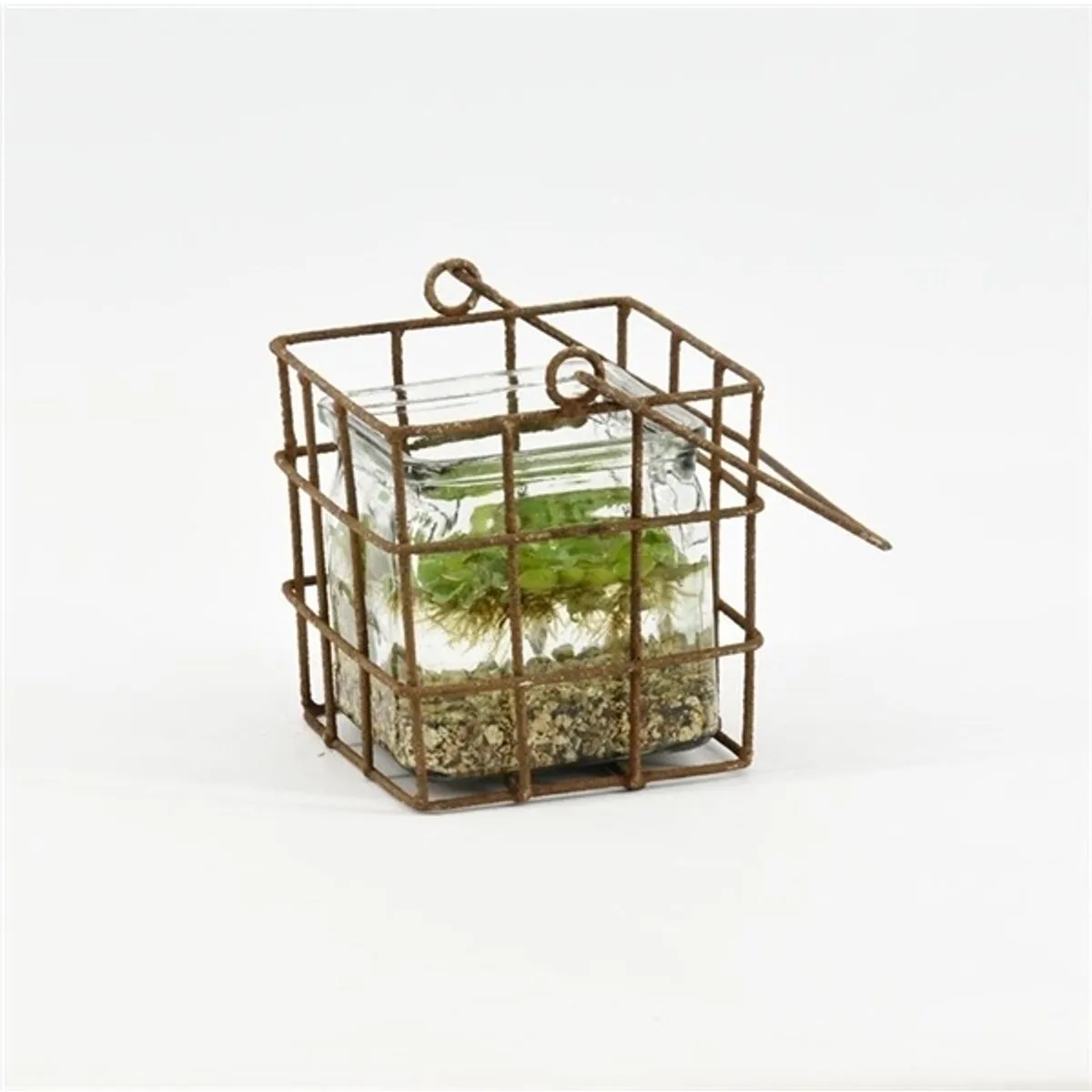 Roestmandje Met Vaasje Drijfplant Vierkant by Moerings in Green – product photo