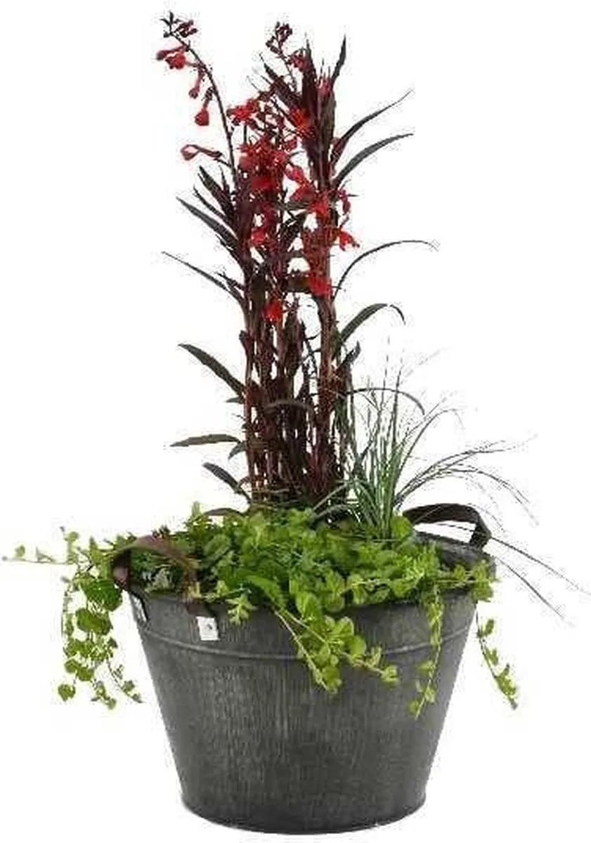 Terrasvijver Old Grey de Moerings en Gris – photo produit