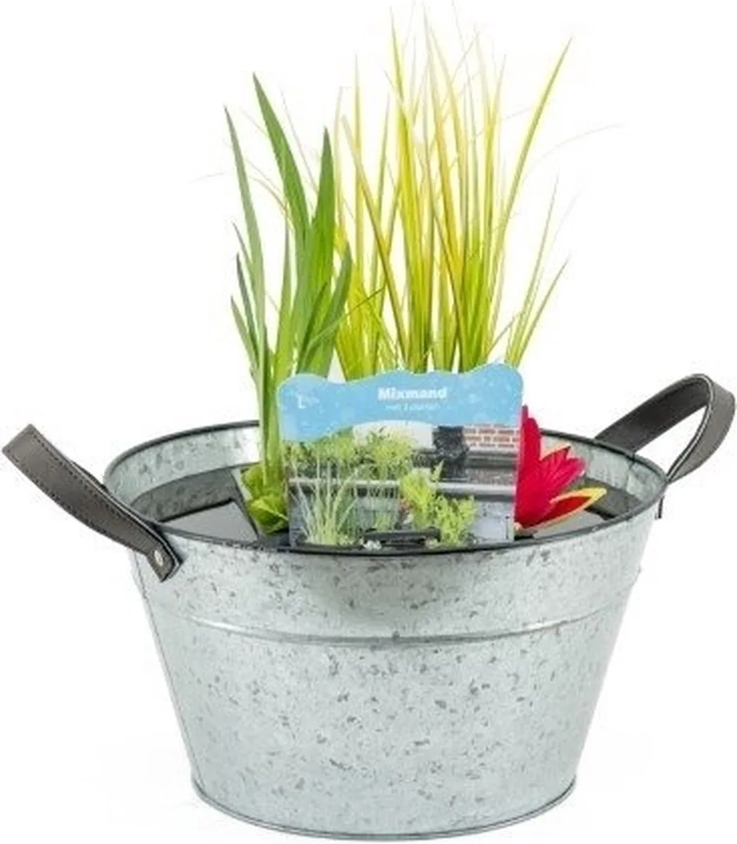 Terrasvijver Zink de Moerings en Blanco – photo produit