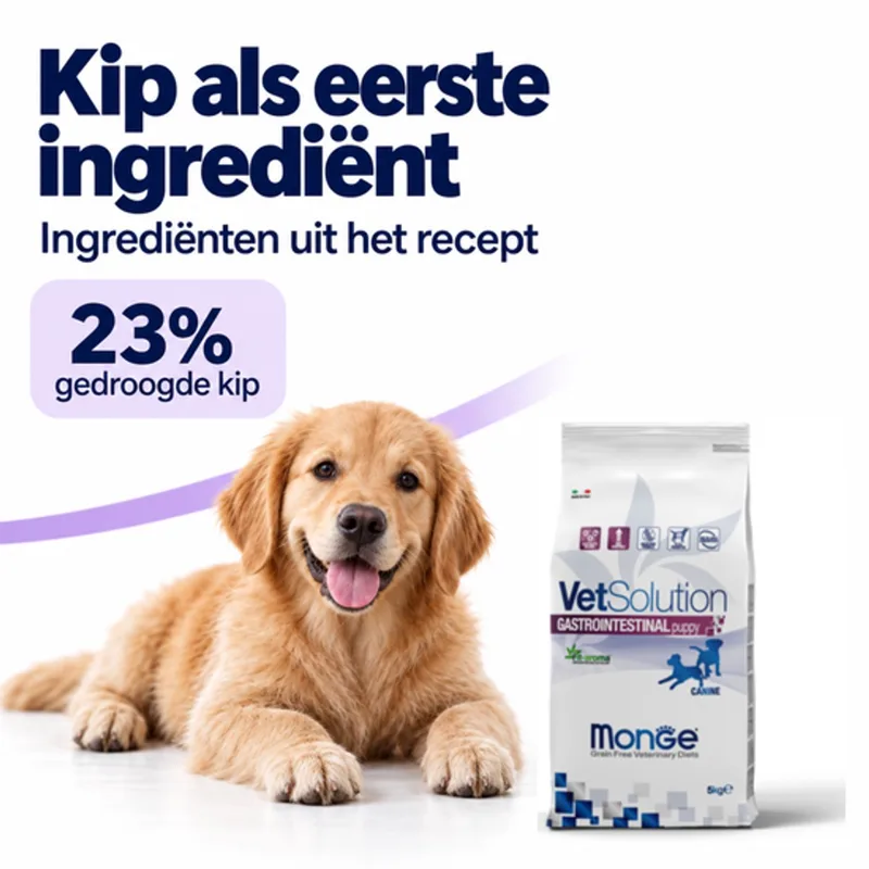 VetSolution Gastrointestinal - Hondenbrokken - Dieetvoeding voor puppy’s - Gevoelige maag en darmen - 5 kg von Monge – Produktfoto