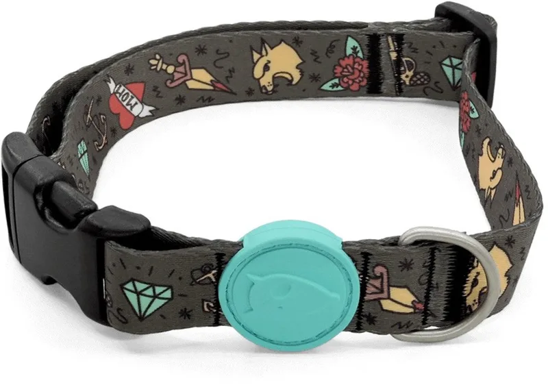Halsband Hond Gerecycled Ink Tank Groen by Morso in Blue – product photo