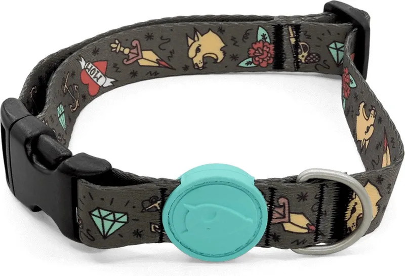 Halsband Hond Gerecycled Ink Tank Groen von Morso in Blau – Produktfoto