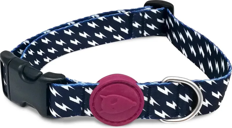 Halsband Hond Gerecycled Power Flow Zwart de Morso en Bleu – photo produit