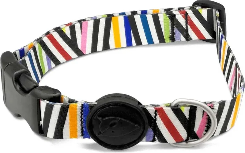 Halsband Hond Gerecycled Spaghetti Incident von Morso in Blau – Produktfoto