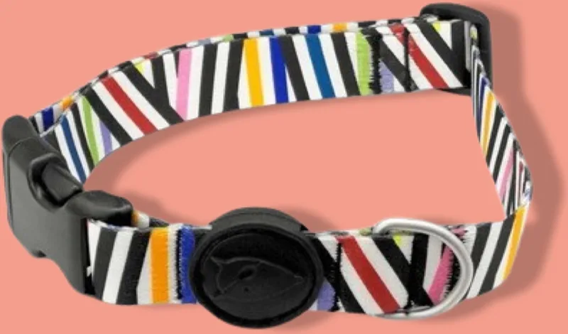 Halsband Hond Gerecycled Spaghetti Incident by Morso in Blue – product photo