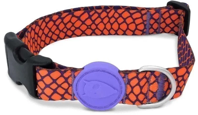 Halsband Hond Gerecycled Urban Lizard Rood fra Morso i Blå – produktbillede