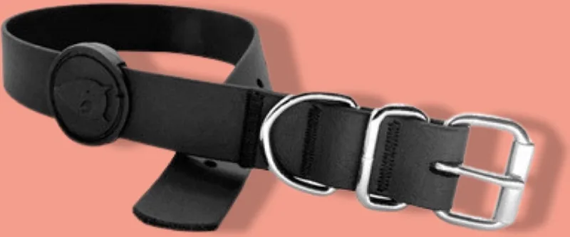 Halsband Hond Waterproof Gerecycled Black Zwart fra Morso i Blå – produktbillede