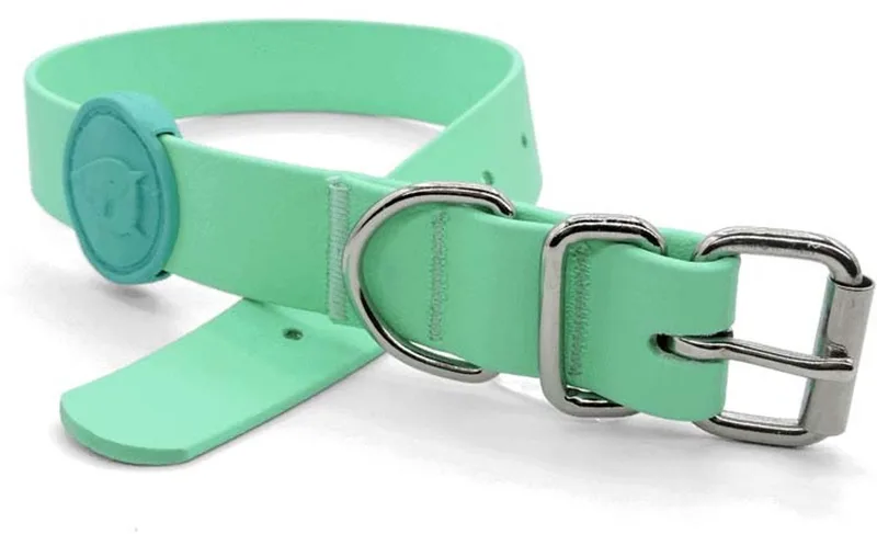 Halsband Hond Waterproof Gerecycled Carribean Green Groen von Morso in Blau – Produktfoto
