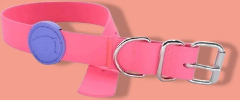 Halsband Hond Waterproof Gerecycled Passion Pink Roze by Morso in Blue – product photo