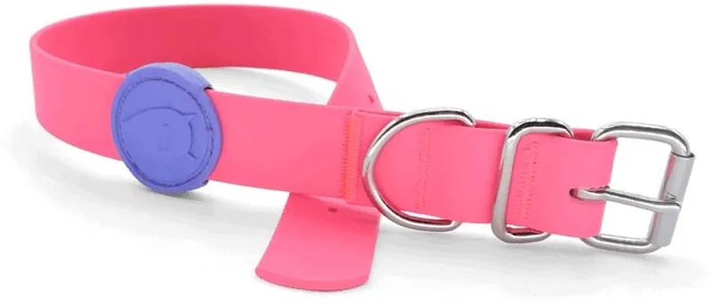 Halsband Hond Waterproof Gerecycled Passion Pink Roze by Morso in Blue – product photo