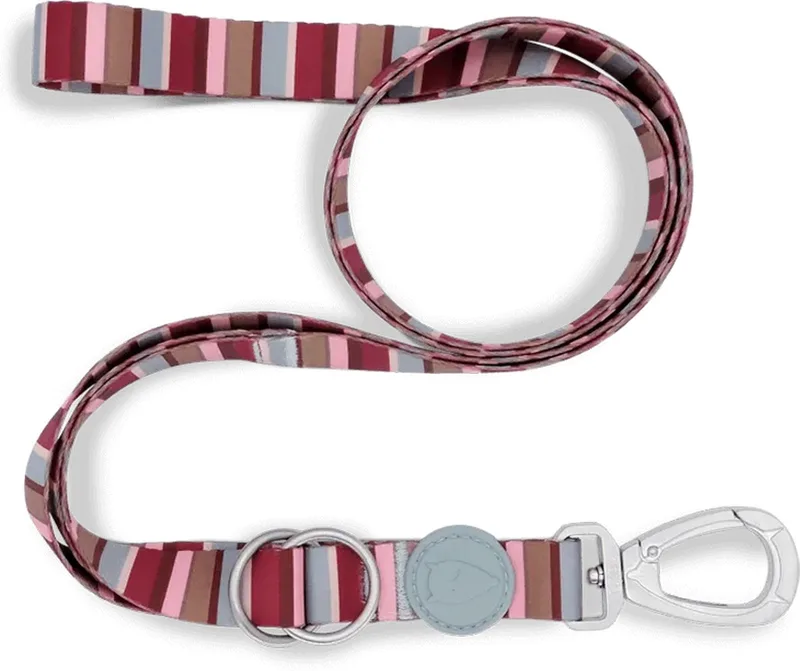 Hondenriem Verstelbaar Gerecycled Skyline Rood / Roze by Morso in Blue – product photo