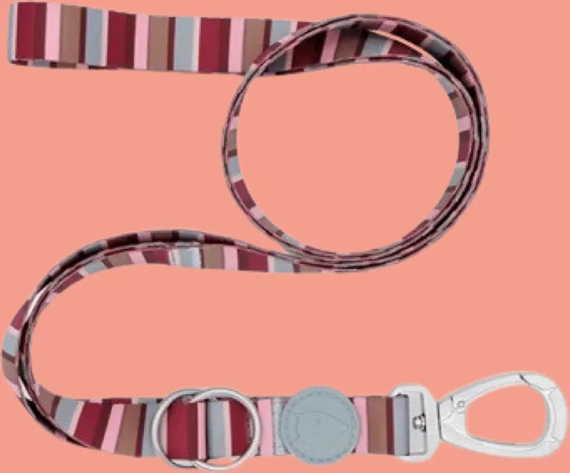 Hondenriem Verstelbaar Gerecycled Skyline Rood / Roze von Morso in Blau – Produktfoto
