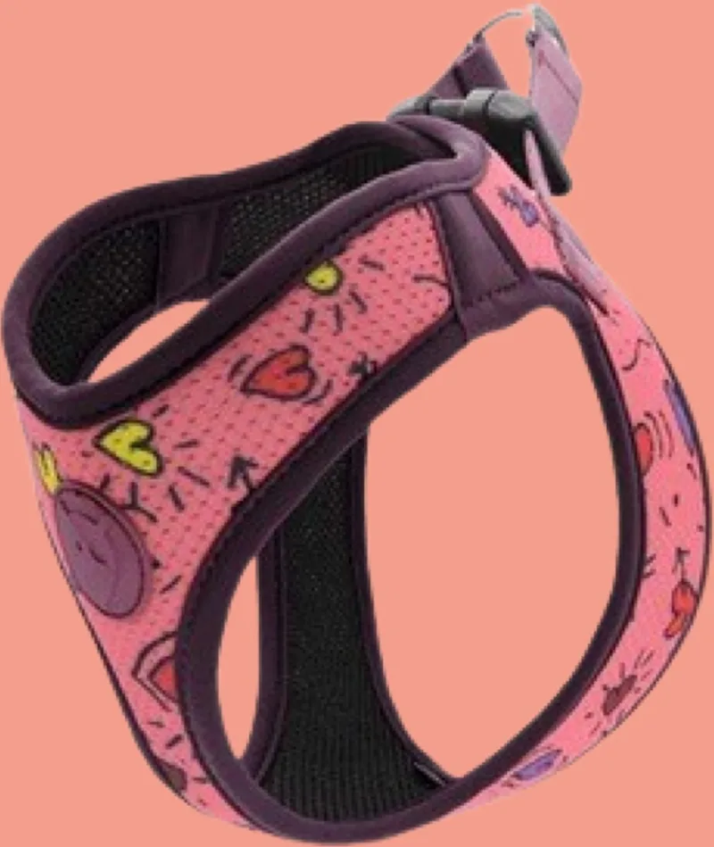 Hondentuig Body Mesh Gerecycled Pink Think Roze by Morso in Blue – product photo