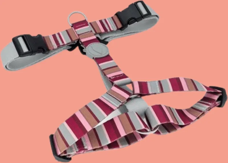 Hondentuig H-Tuig - Gerecycled - Skyline Rood/ Roze - 70-100X2,5 cm von Morso in Skyline Rood, Rosa – Produktfoto