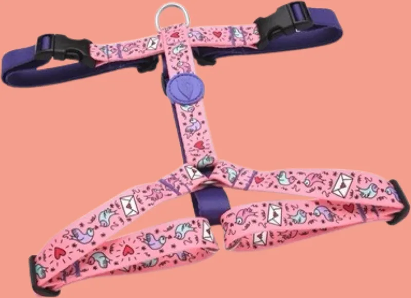 Hondentuig H-Tuig Gerecycled Sweet Tweet Roze de Morso en Bleu – photo produit