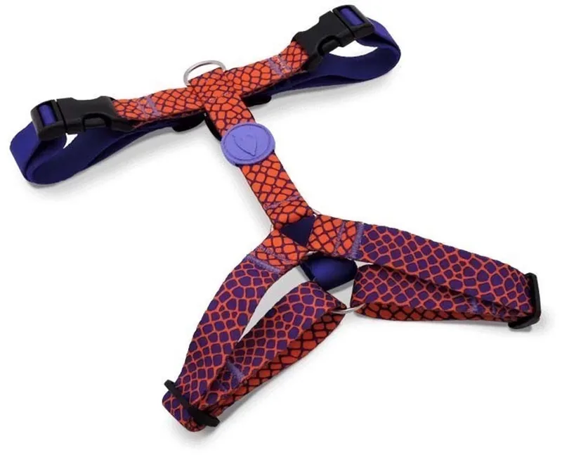 Hondentuig H-Tuig Gerecycled Urban Lizard Rood von Morso in Blau – Produktfoto