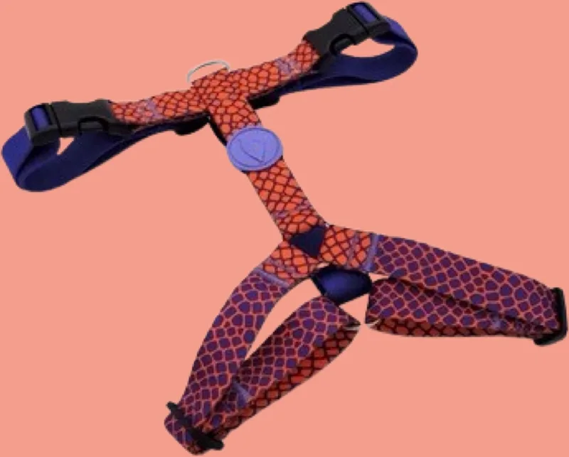 Hondentuig H-Tuig Gerecycled Urban Lizard Rood von Morso in Blau – Produktfoto