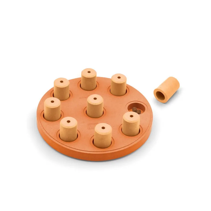 Dog Smart Intelligenzspielzeug by Nina Ottosson in Regular – product photo