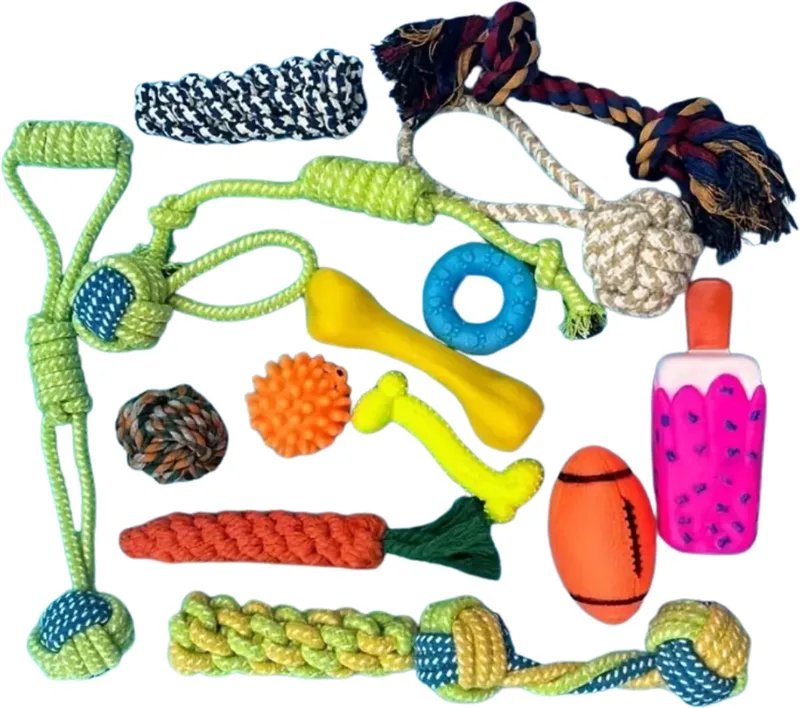Honden Speelgoed - Hond - Speelgoed - Dog Toy - Pluche de Nivard en 7st – photo produit