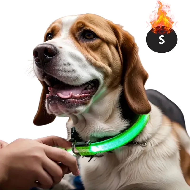 Lichtgevende Halsband - Verlichte Halsband - Lichtgevend - Hond - Kat - Lampje - Hondenhalsband Led - Oplaadbaar - Glow In The Dark - S by Nivard in Green – product photo