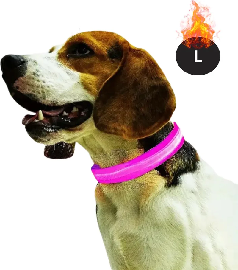 Lichtgevende Halsband - Verlichte Halsband - Lichtgevend - Hond - Kat - Lampje - Hondenhalsband Led - Oplaadbaar - Glow In The Dark - L by Nivard in Pink – product photo