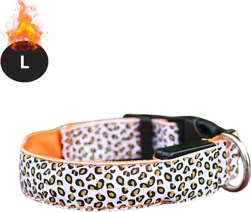 Lichtgevende Halsband - Verlichte Halsband - Lichtgevend - Hond - Kat - Lampje - Hondenhalsband Led - Oplaadbaar - L de Nivard en Orange – photo produit