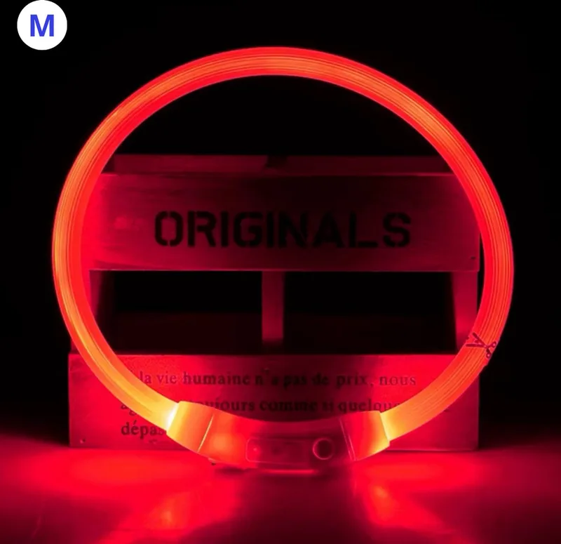 Lichtgevende Halsband - Verlichte Halsband - Lichtgevend - Hond - Kat - Lampje - Hondenhalsband Led - Oplaadbaar - M by Nivard in Red – product photo