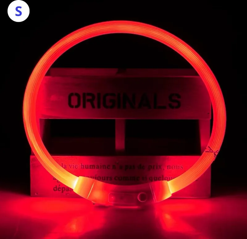 Lichtgevende Halsband - Verlichte Halsband - Lichtgevend - Hond - Kat - Lampje - Hondenhalsband Led - Oplaadbaar - S von Nivard in Rot – Produktfoto